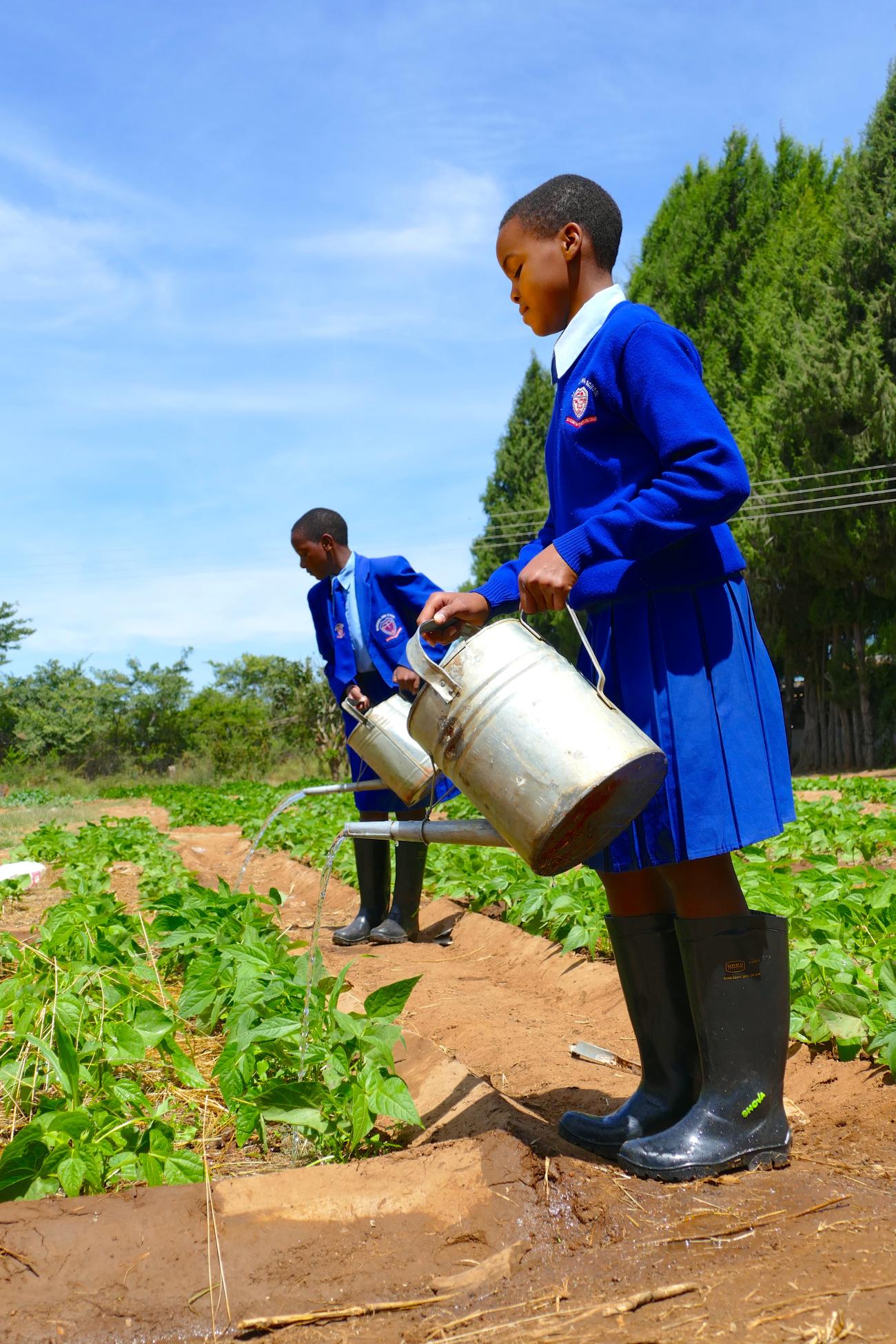 Youth participation, engagement in building democratic resilience